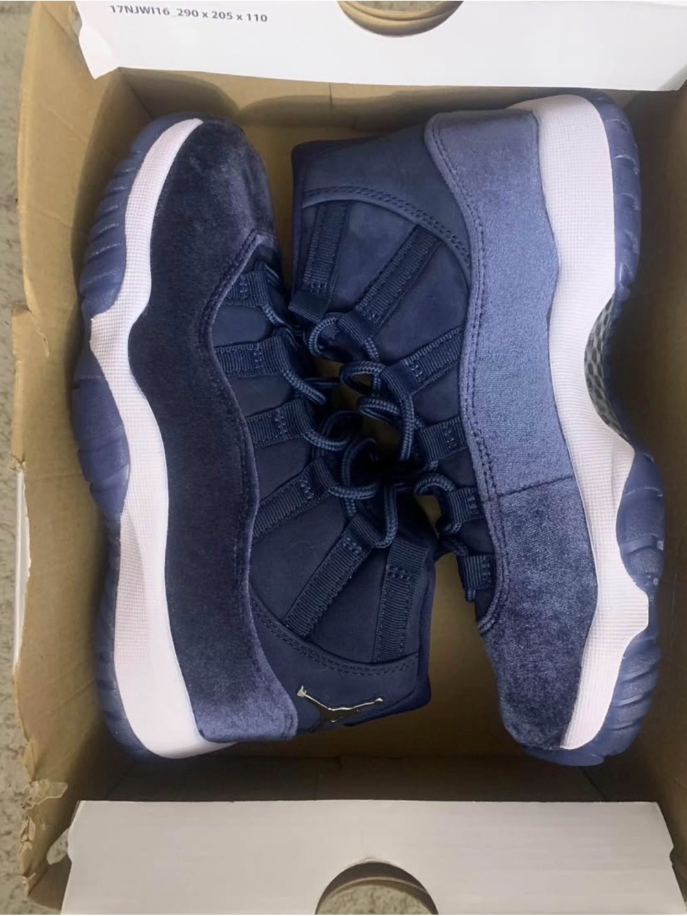 Air Jordan 11